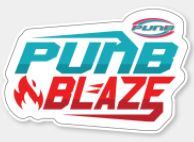 Dashboard Logo